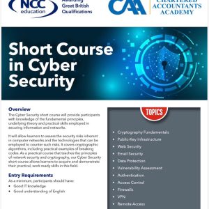 Certificate in Cyber Security